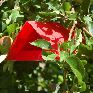 Apple Ermine Moth Traps & Refills