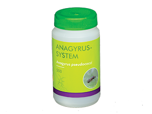 Anagyrus-System