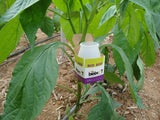 Bio-Box