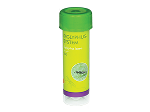Diglyphus-System