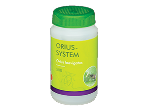 Orius-System