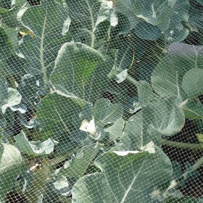 Butterfly & Bird Protection Netting 7mm