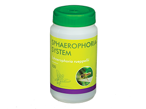 Sphaerophoria-System